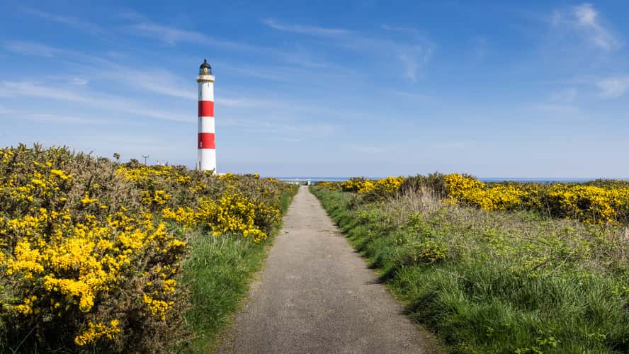 Tarbat Ness Point