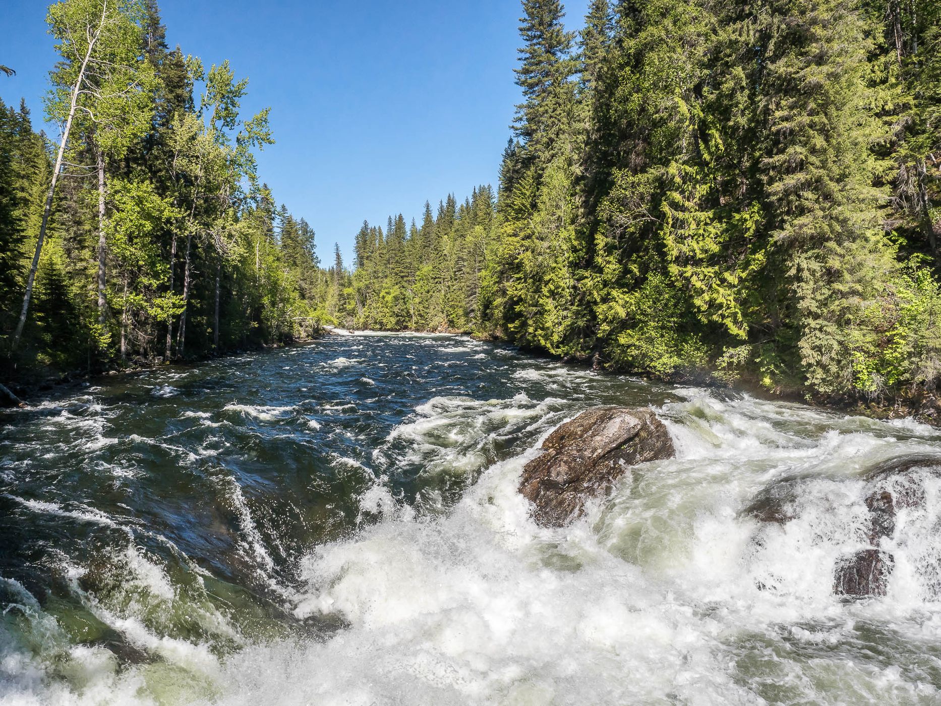 The Mushbowl, Canada
