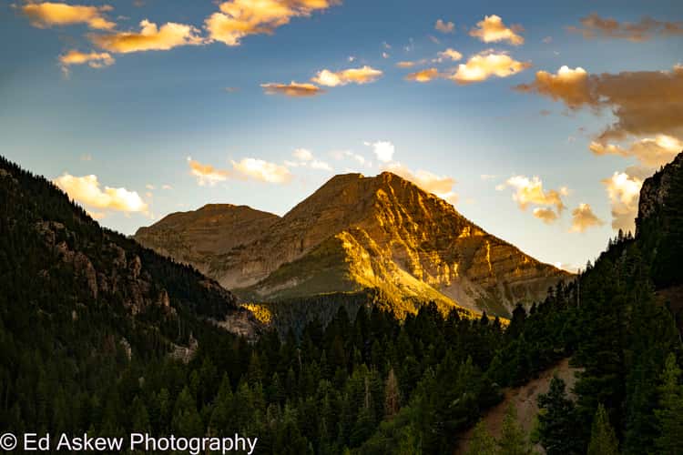 Tibble Fork Reservoir