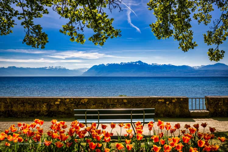 Tulip Festival, Morges, Lac Leman