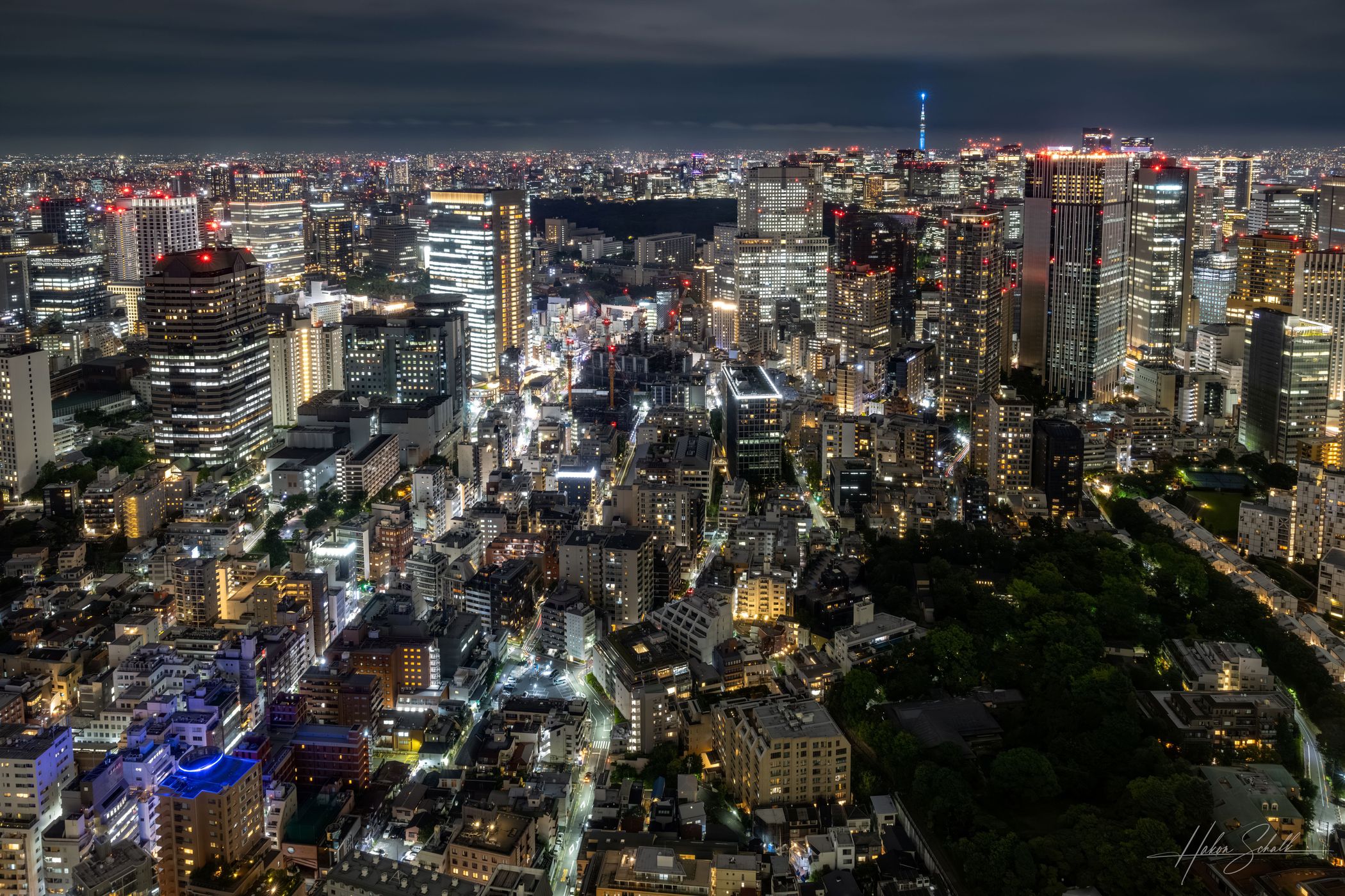 View from the Ritz-Carlton Tokyo, Japan