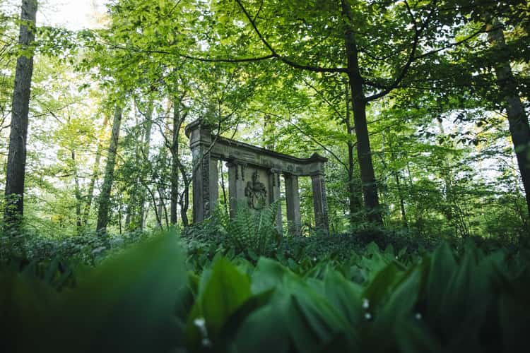 Waldfriedhof Waldrogäsen