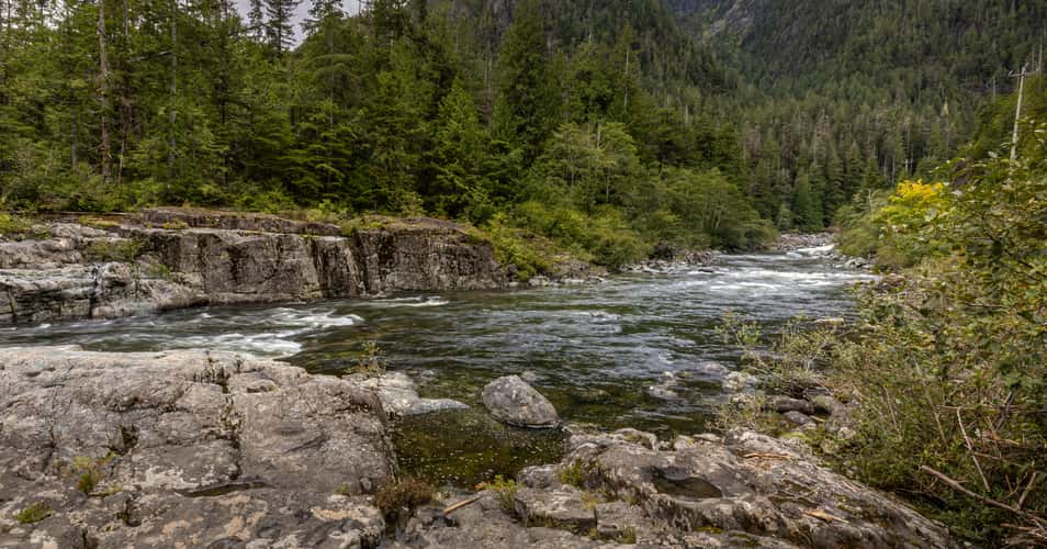Wally Creek, Pacific Rim Highway