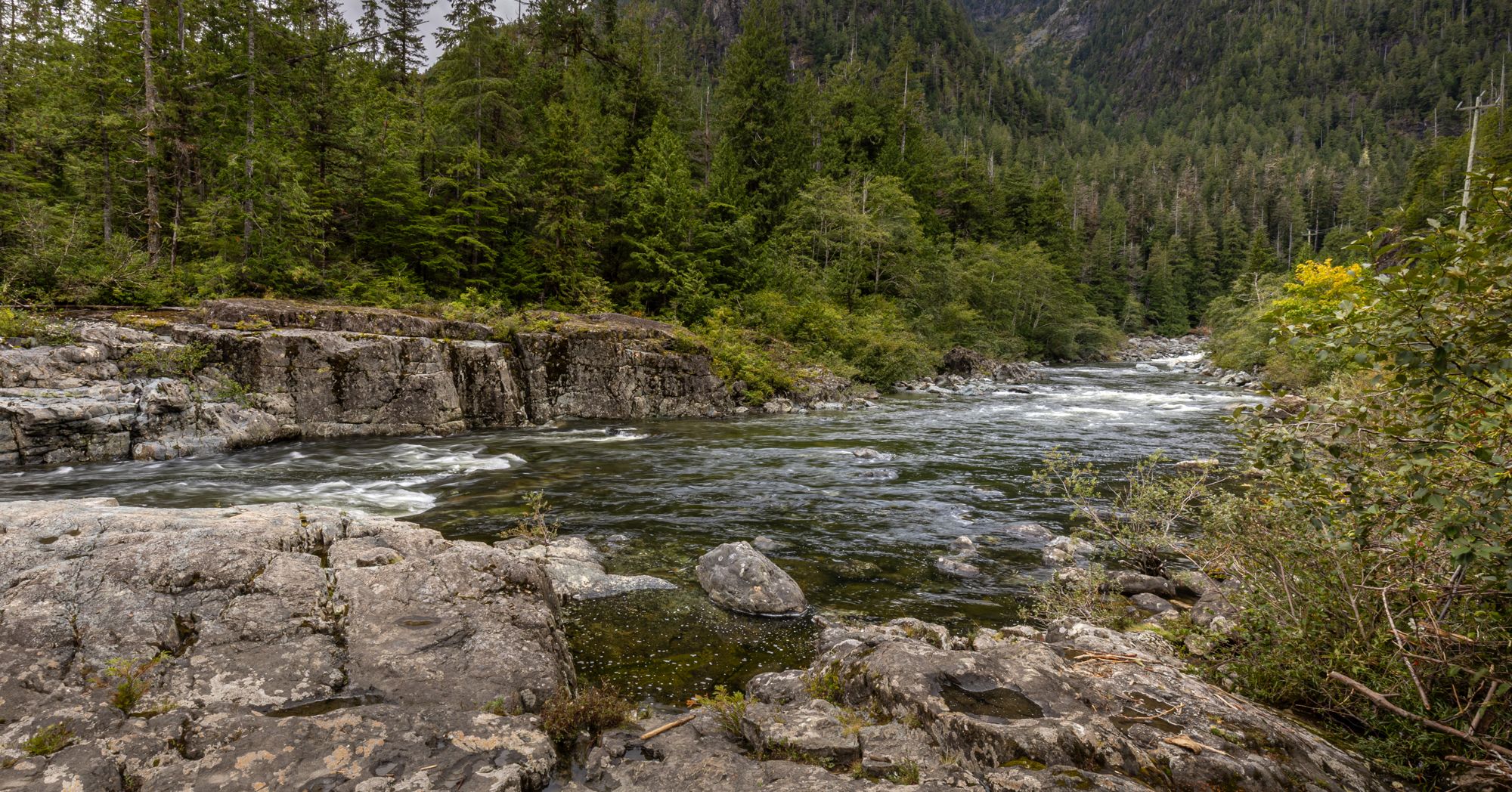 Wally Creek, Pacific Rim Highway, Canada