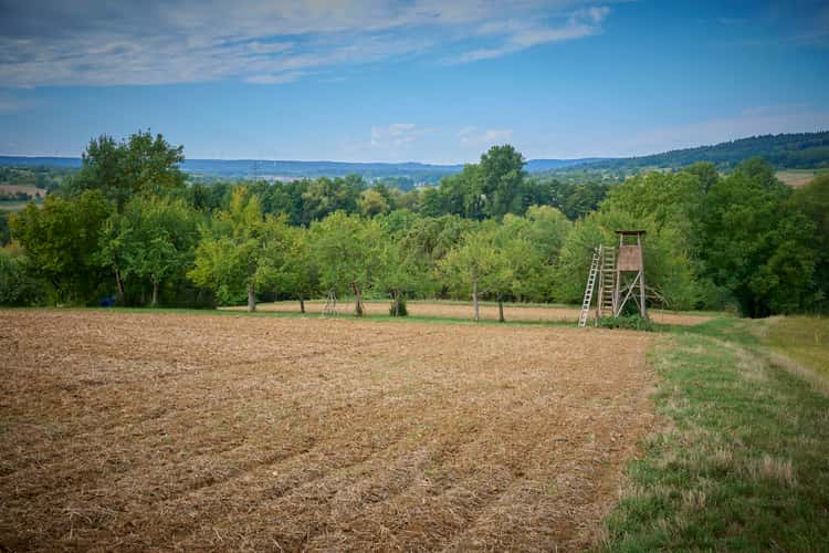 Weinrebenweg