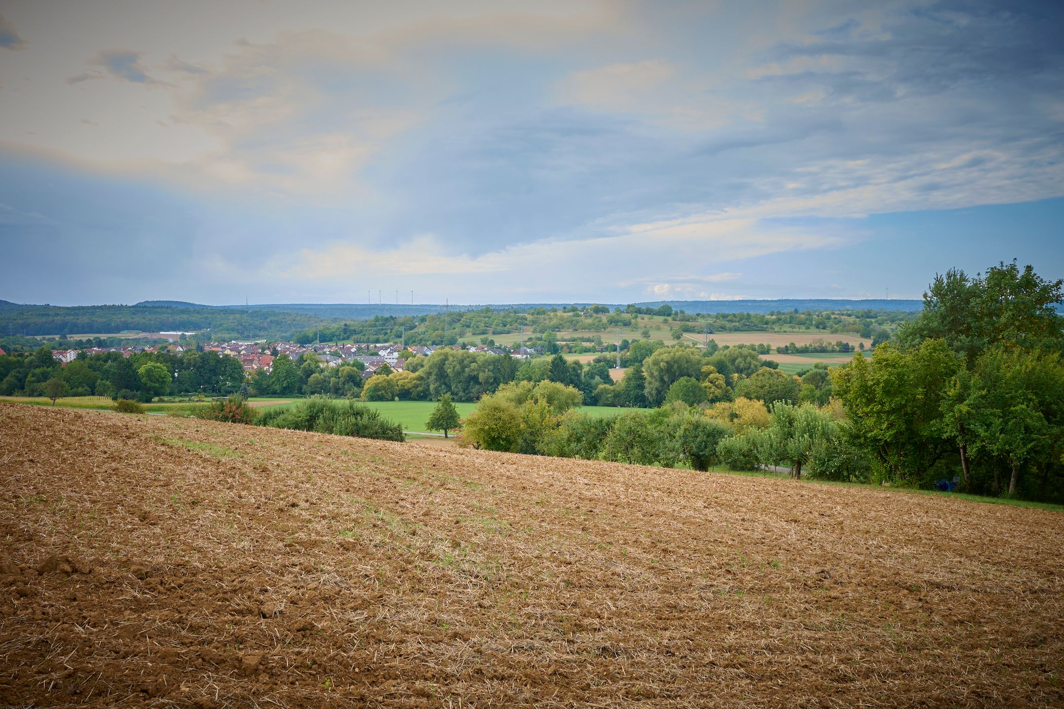 Weinrebenweg, Germany