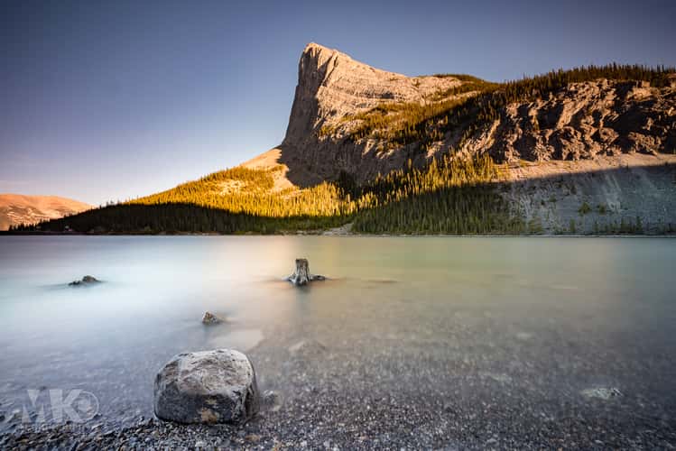Whiteman's Pond