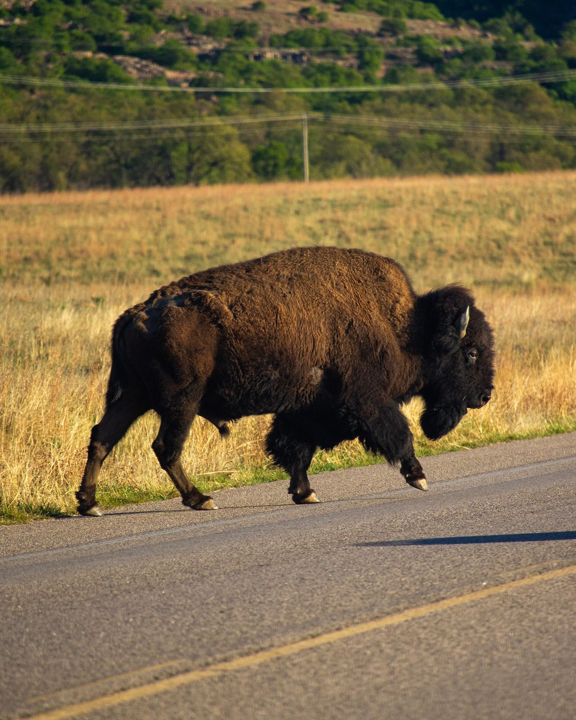 Wichita Mountains, USA