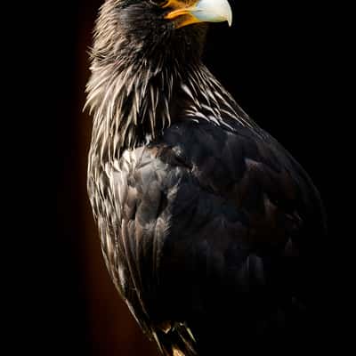 Zoo Neunkirchen, Germany
