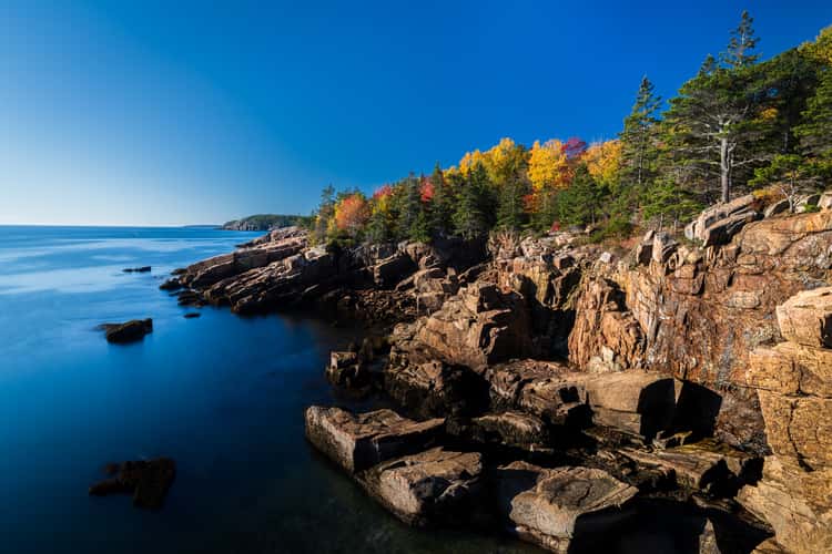 Acadia Coastline