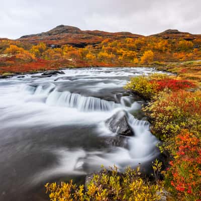 Autumn Flow, Norway