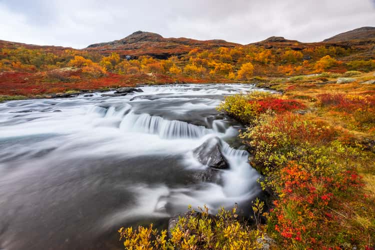 Autumn Flow