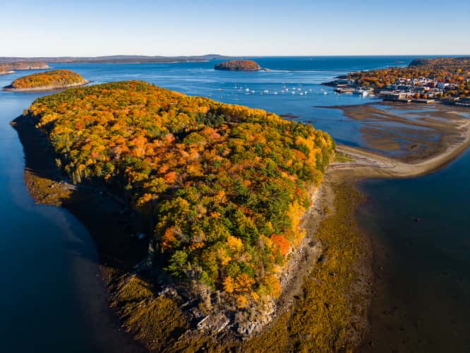 Bar Island