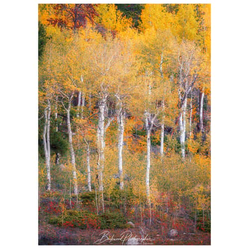 Bear Lake
