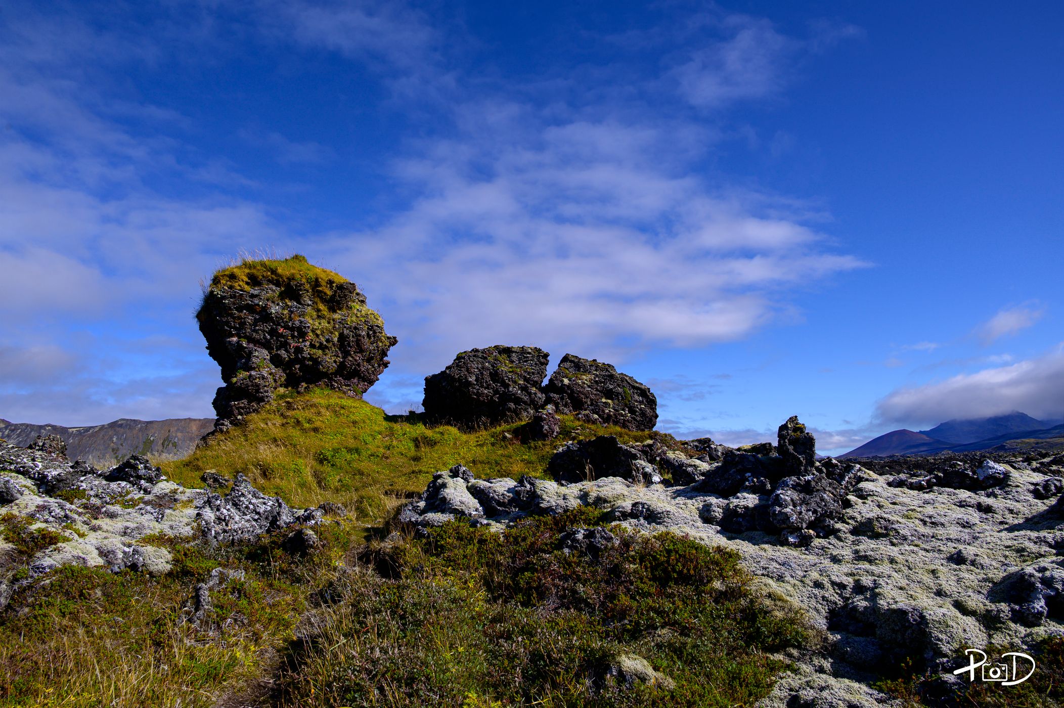 Berserk Lava Field, Iceland