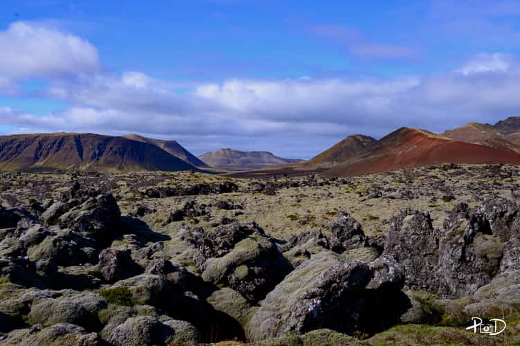 Berserk Lava Field