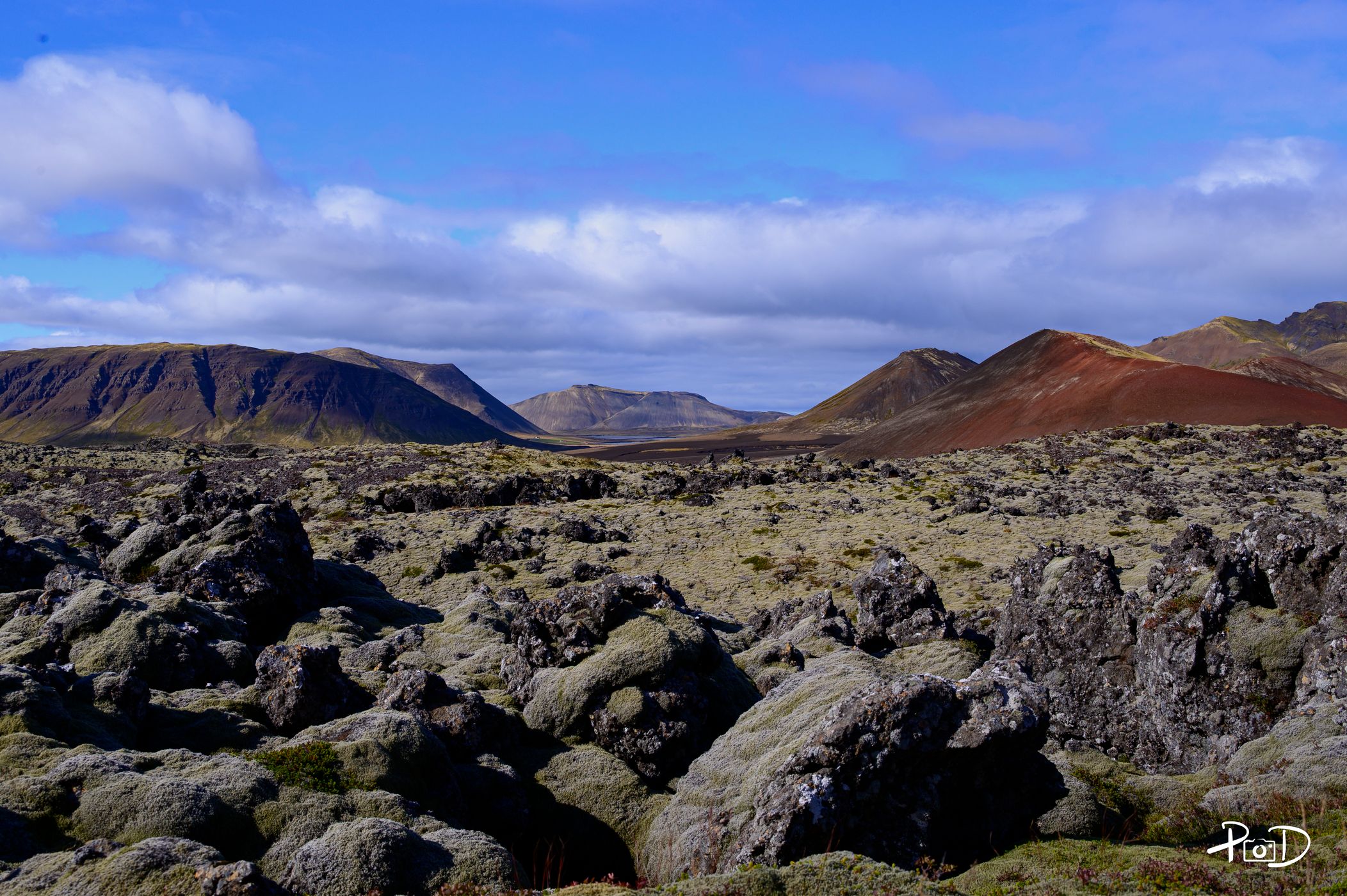 Berserk Lava Field, Iceland