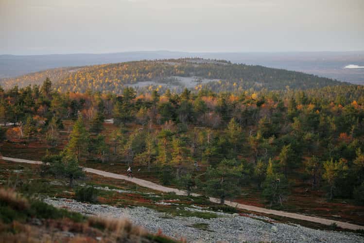 Biking trails up at Ukko-Luosto, Pyhä-Luosto-Nationalpark