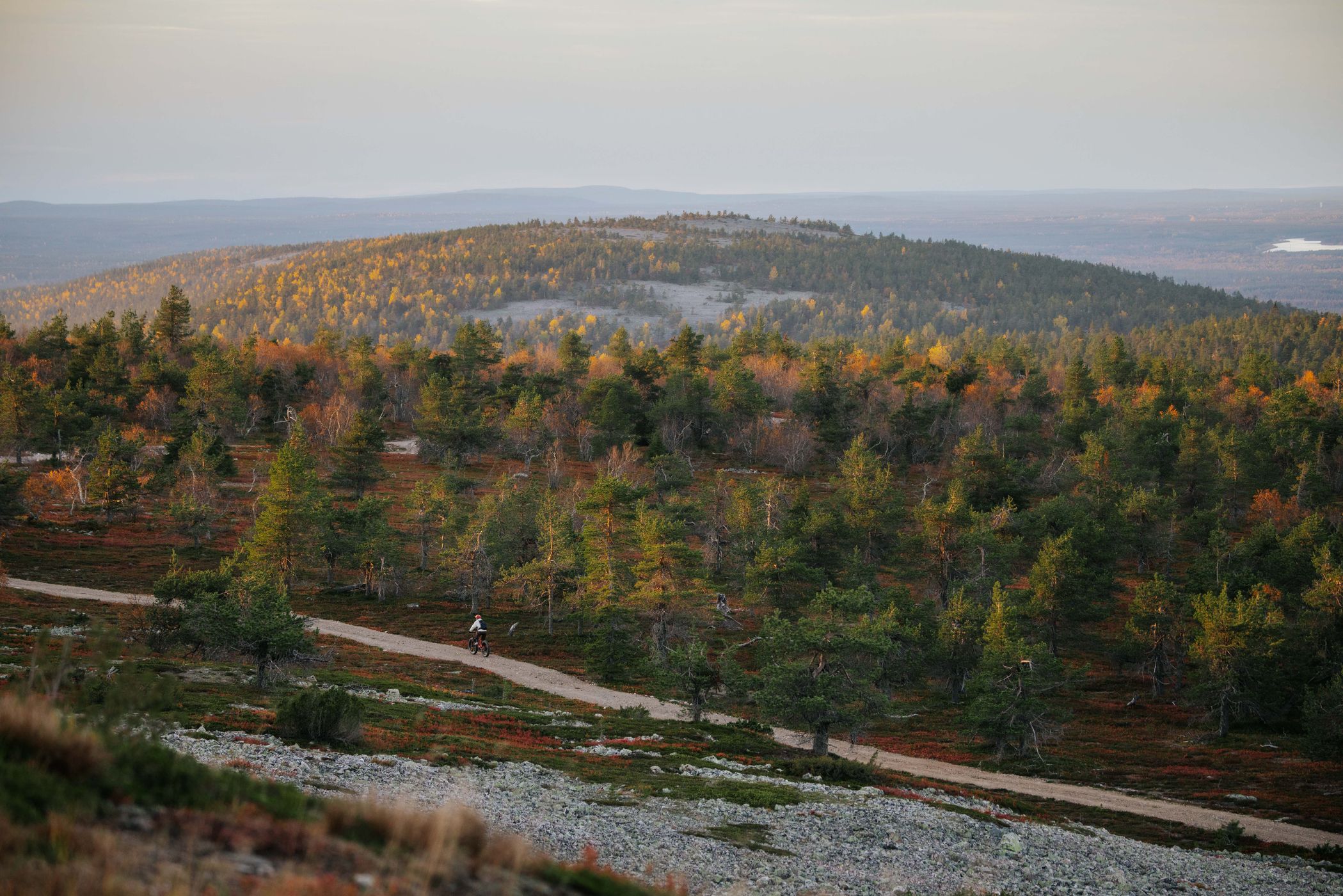 Biking trails up at Ukko-Luosto, Pyhä-Luosto-Nationalpark, Finland