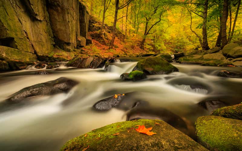 Bodetal