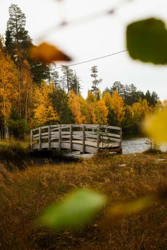 Bridge and small pond, Luosto-Pyhä National Park