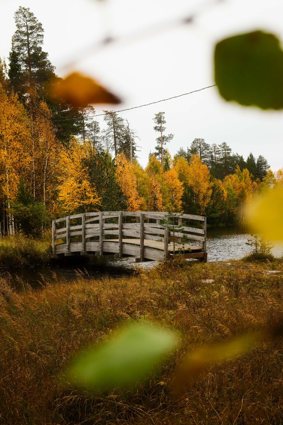 Bridge and small pond, Luosto-Pyhä National Park, Finland