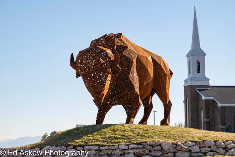 Buffalo Statue