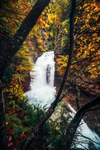 Cascada de Arripas - Ordesa National Park