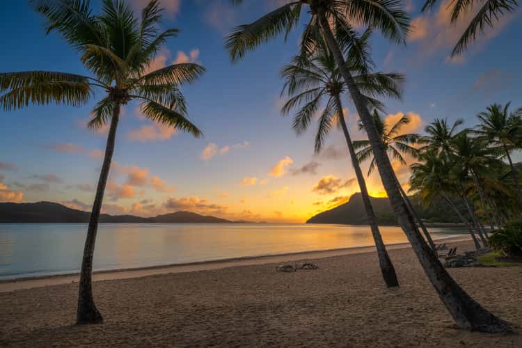 Catseye Beach