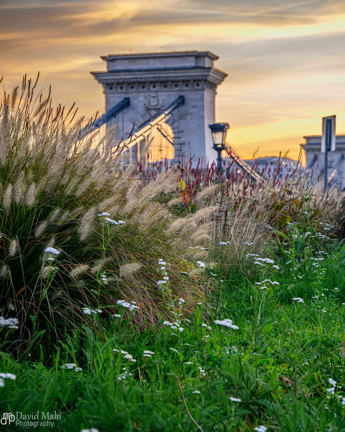 Chain Bridge from the Grass, Hungary