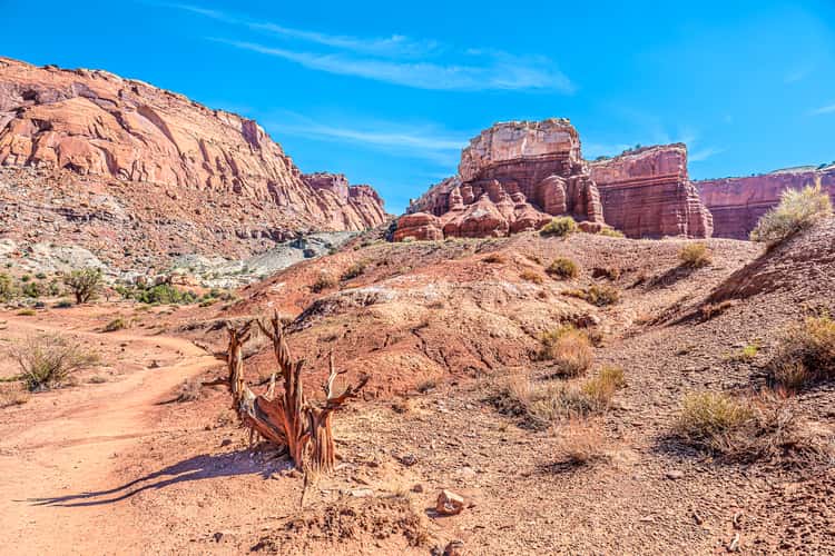 Chimney Rock - Capitol Reef National Park