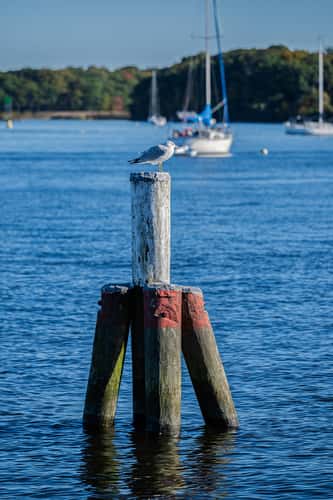 Connecticut River Museum