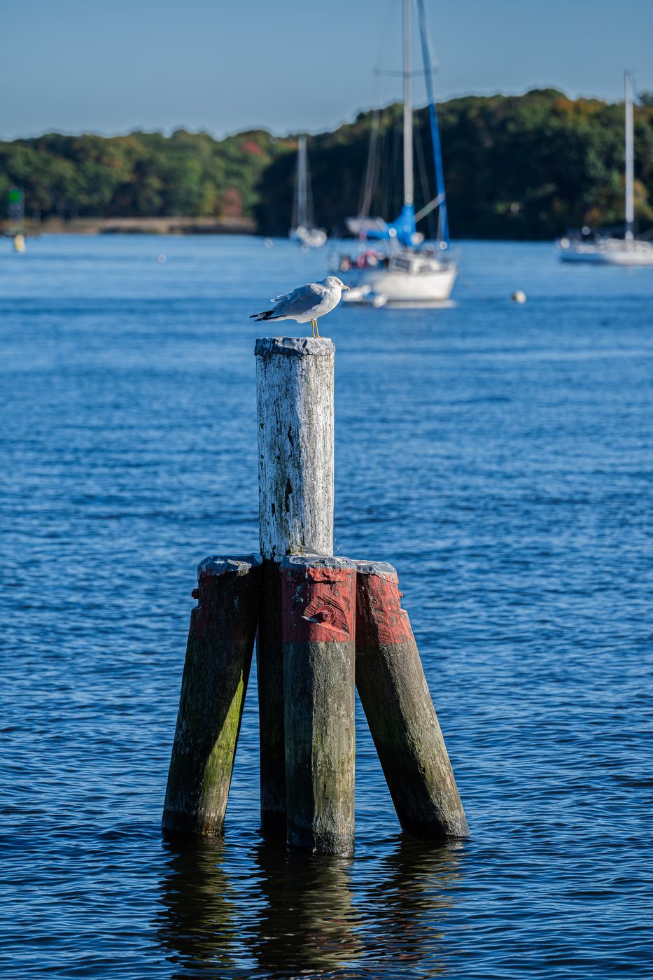 Connecticut River Museum, USA