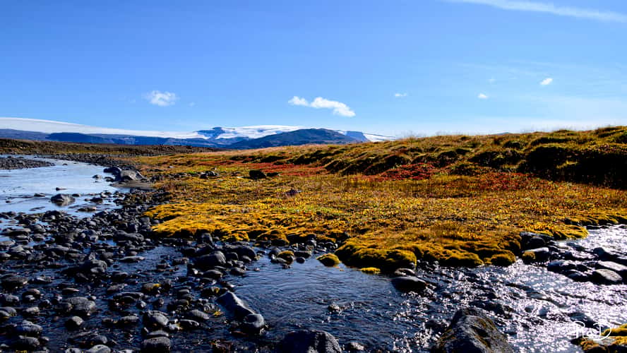 Details from Langjökull Glacier