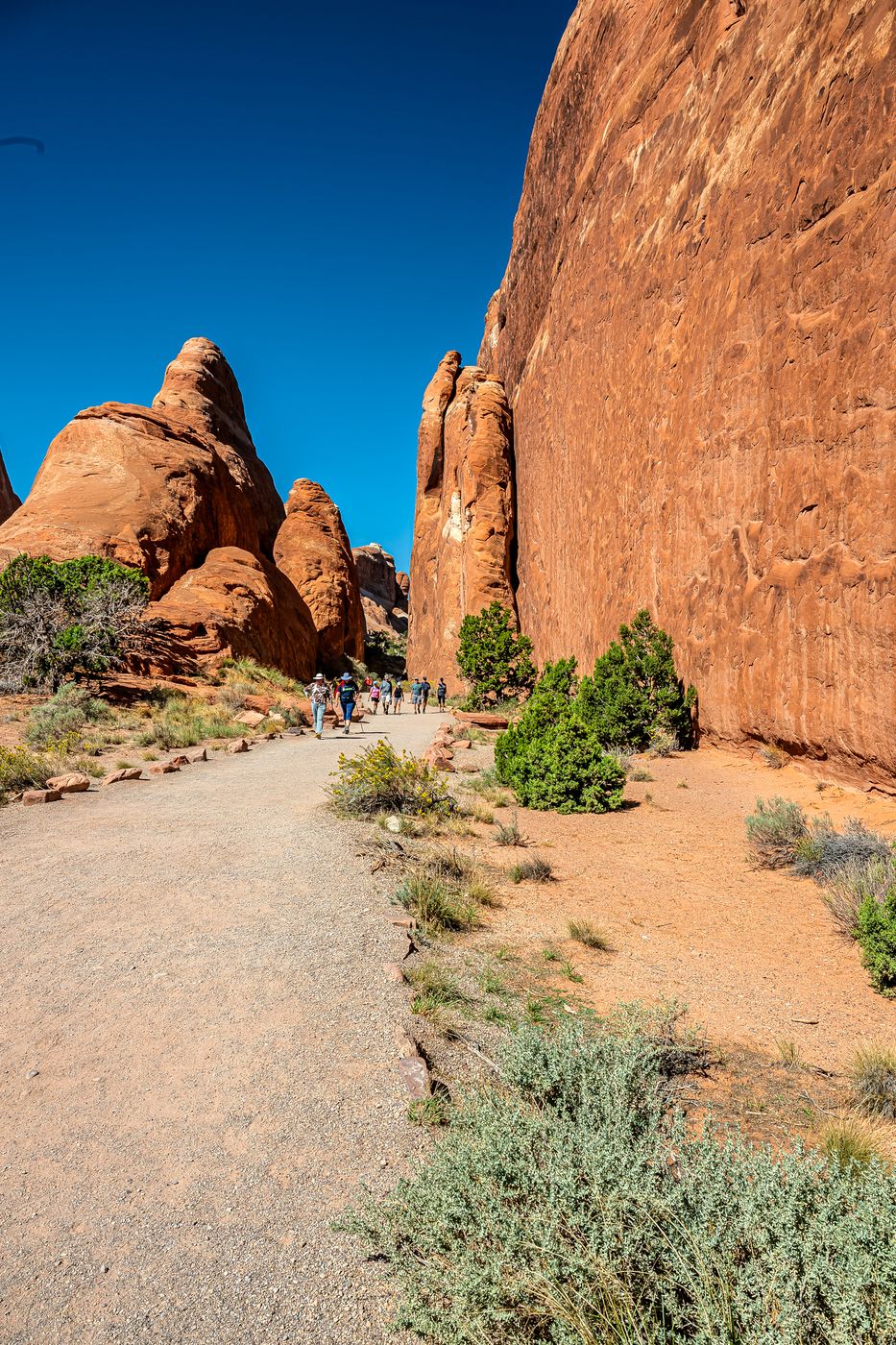 Devil`s Garden - Archs, USA