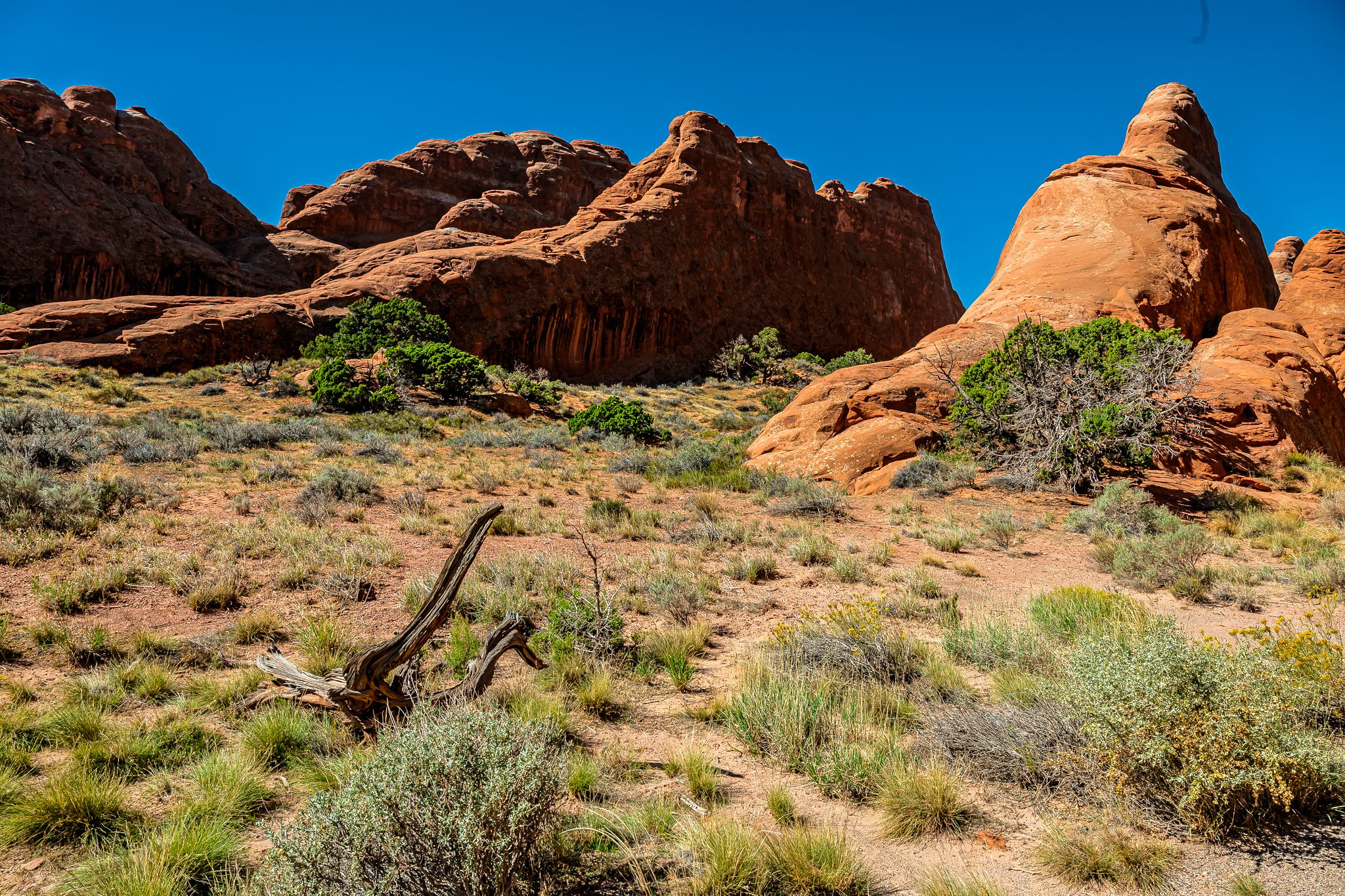 Devil`s Garden - Archs, USA