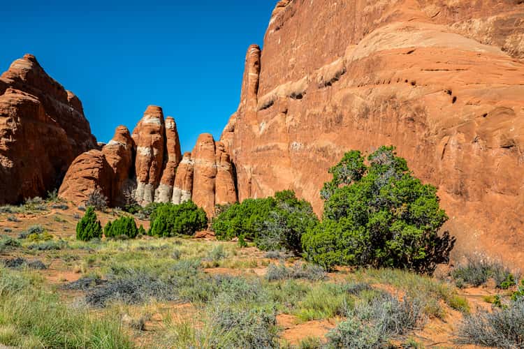 Devil`s Garden - Archs