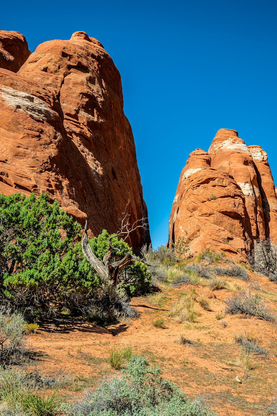 Devil`s Garden - Archs, USA