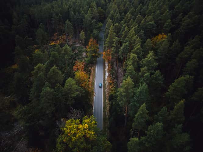 Endless Forest Road near Kahla
