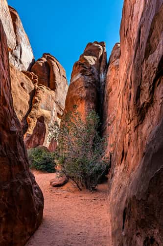 Entrance to Sand Dune Arch