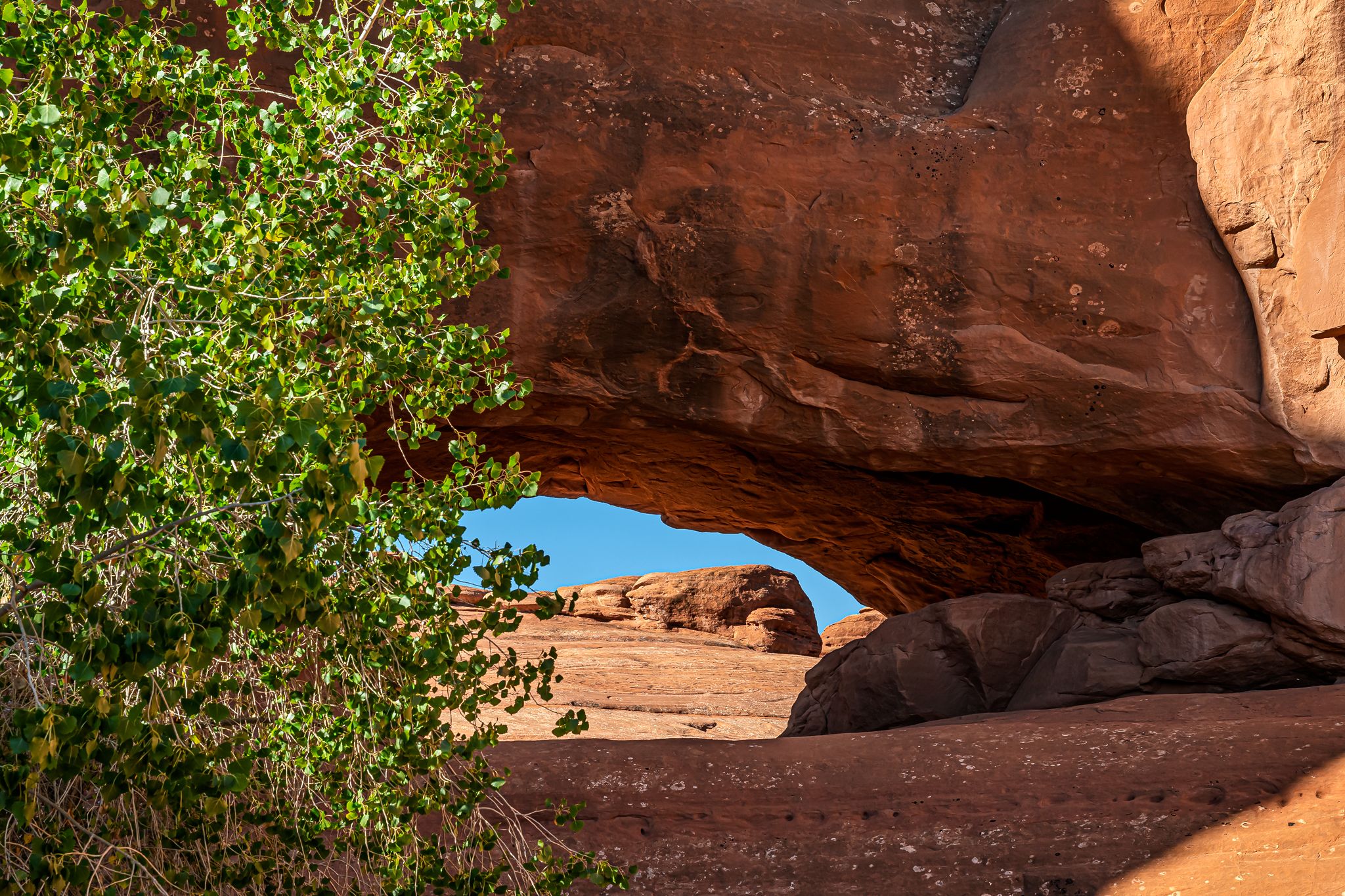 Eye of the Whale Arch, USA