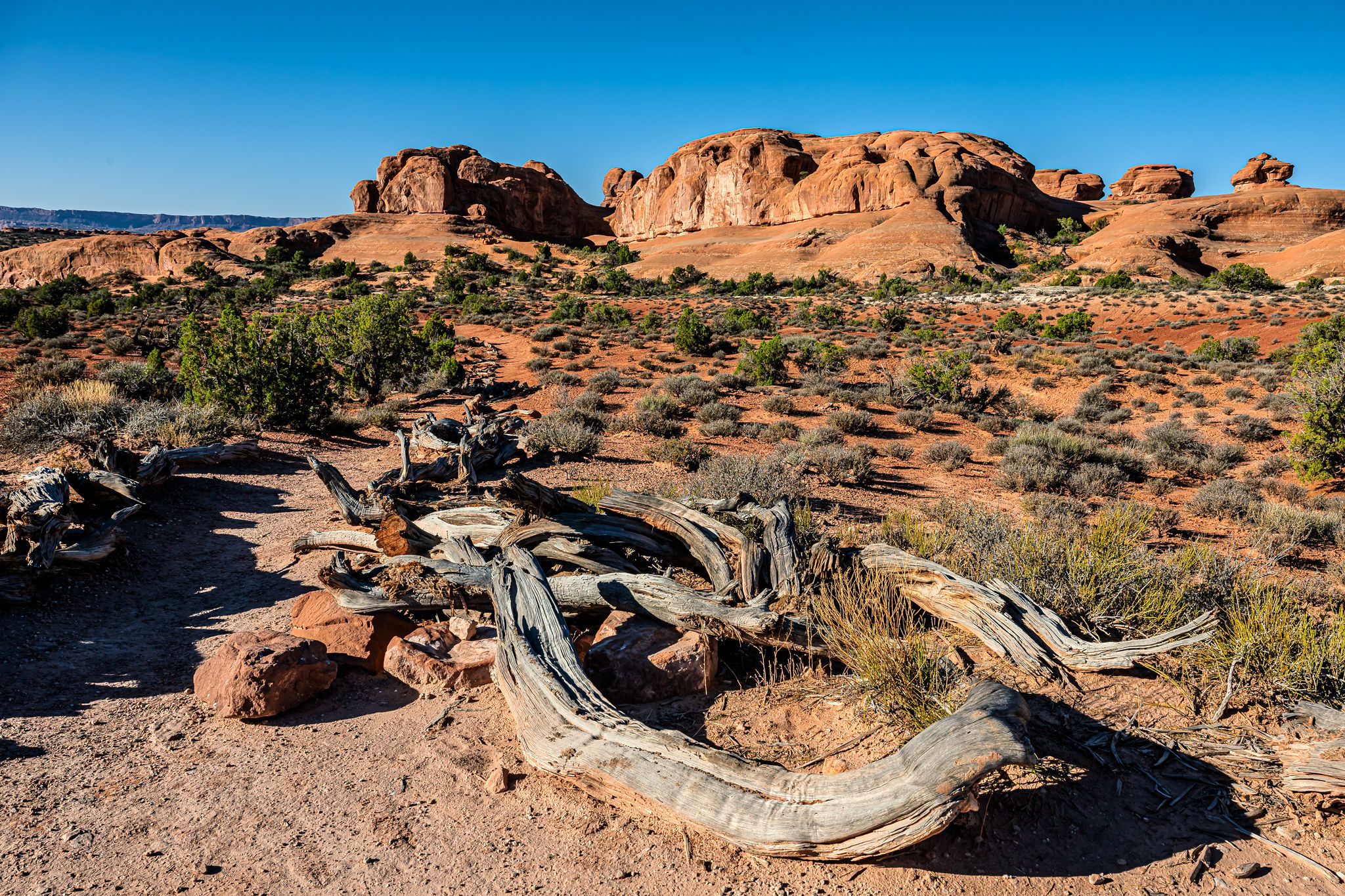 Eye of the Whale Arch, USA