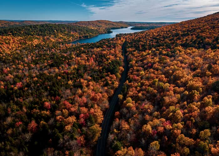 Fox Pond Trails