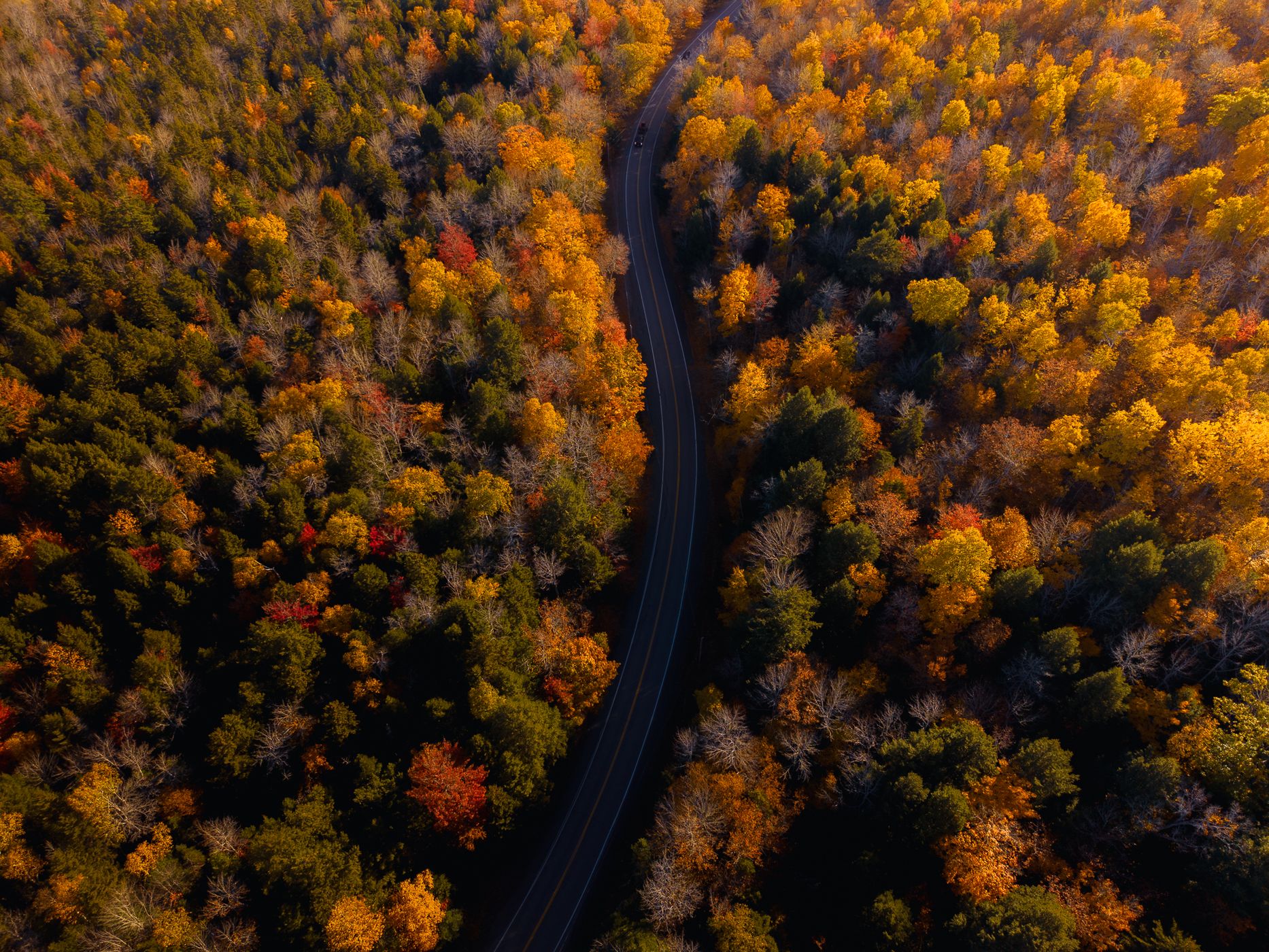 Fox Pond Trails, USA