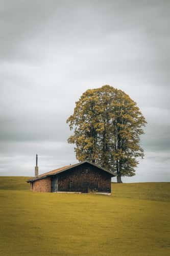 Grassland Cabin