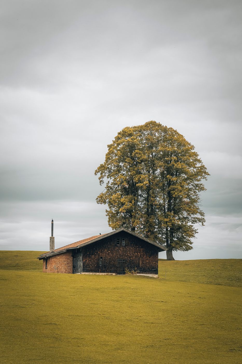 Grassland Cabin, Germany