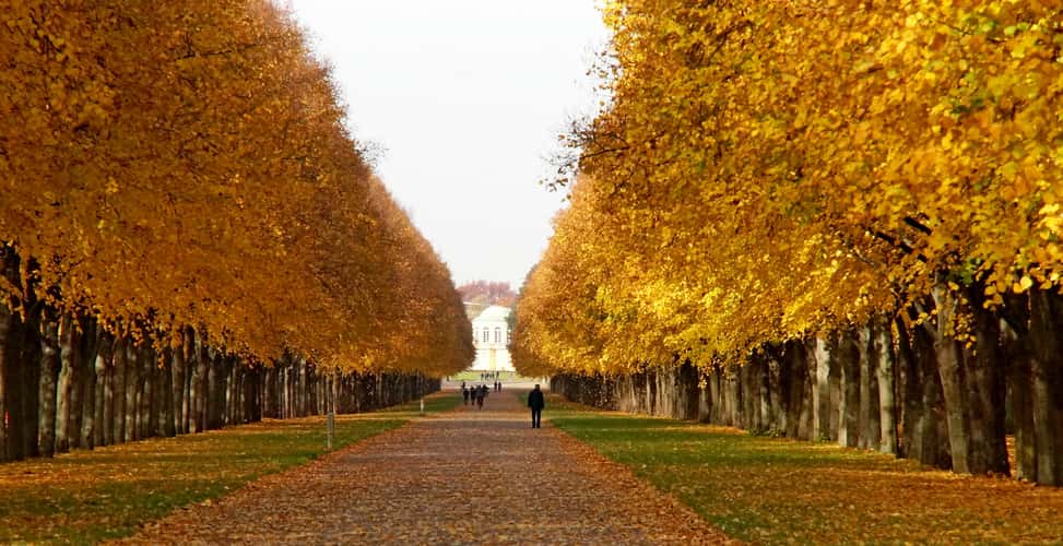 Herrenhäuser Allee, Hanover