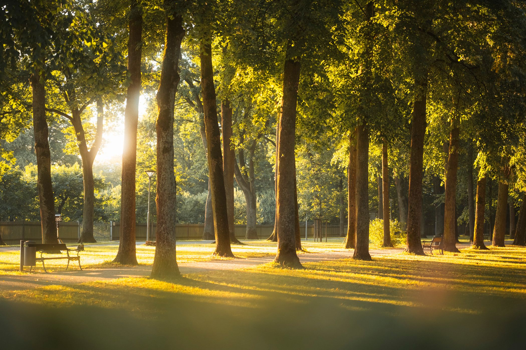 Hofgarten Bayreuth, Germany