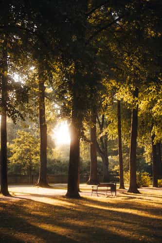 Hofgarten Bayreuth