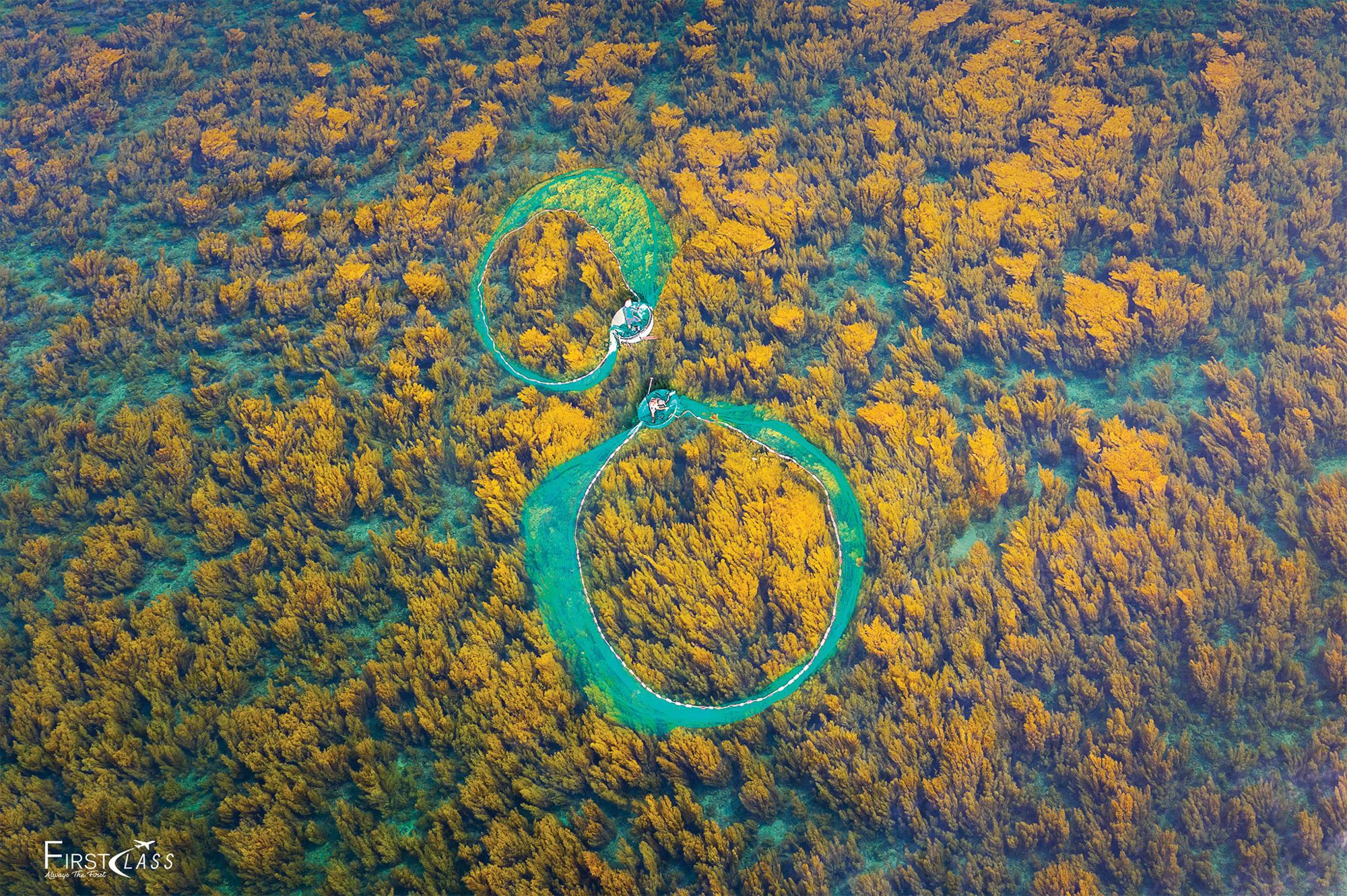 Hon Kho Island & Sargassum Seaweed Season, Vietnam